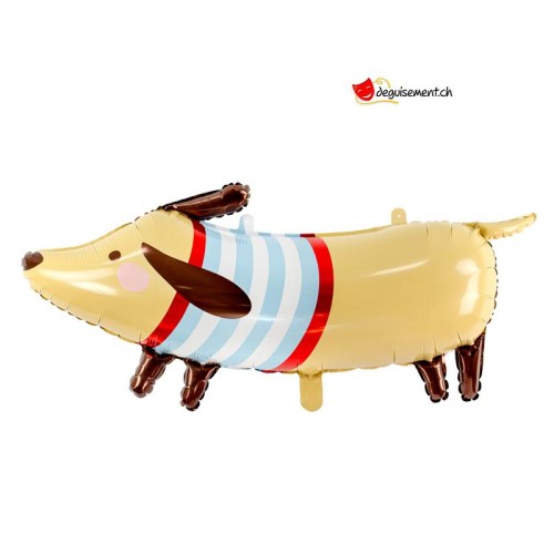 palloncinoalluminiocanebassotto